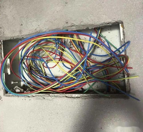 安全第一 為何多回路嚴禁共用一條地線？